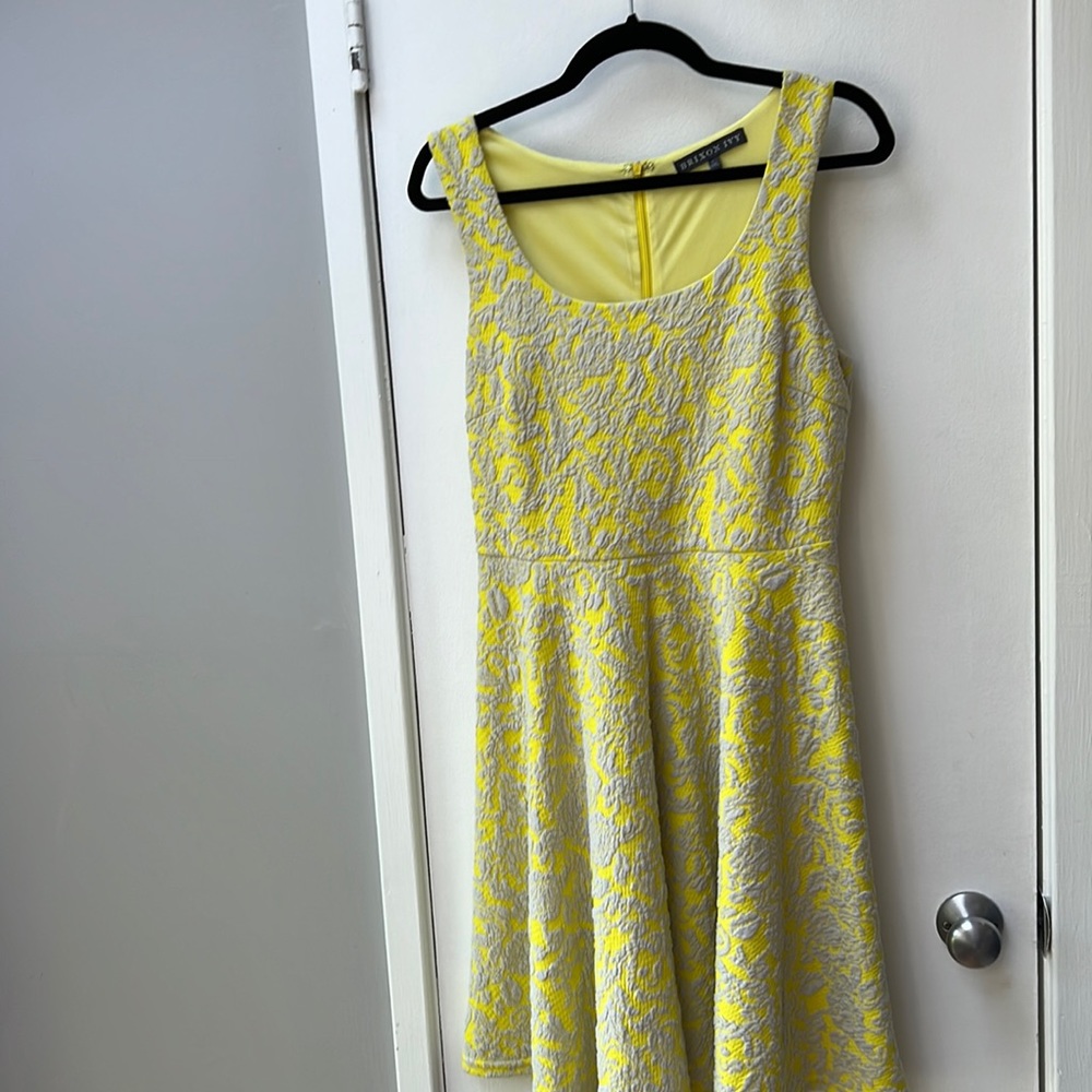 Brixton ivy fit and flare dress